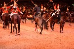 Cavalry - 00048